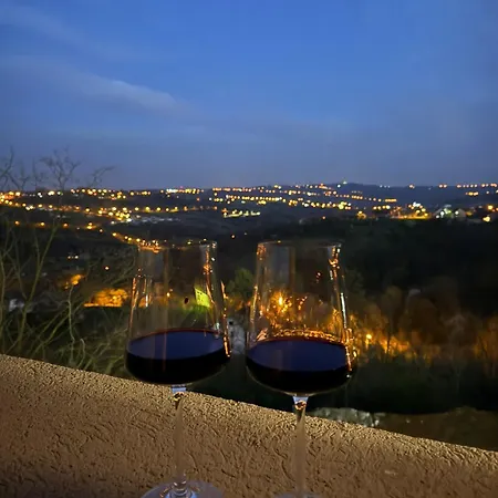 Vino & Vista *
