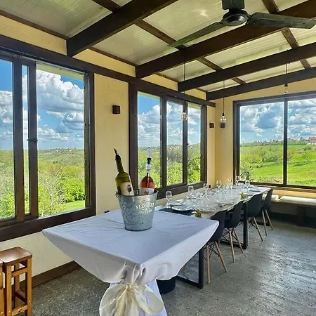 Vino & Vista Villa Ripanj